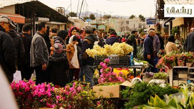 بازار گل محلاتی