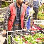 بازار گل محلاتی