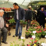 بازار گل محلاتی