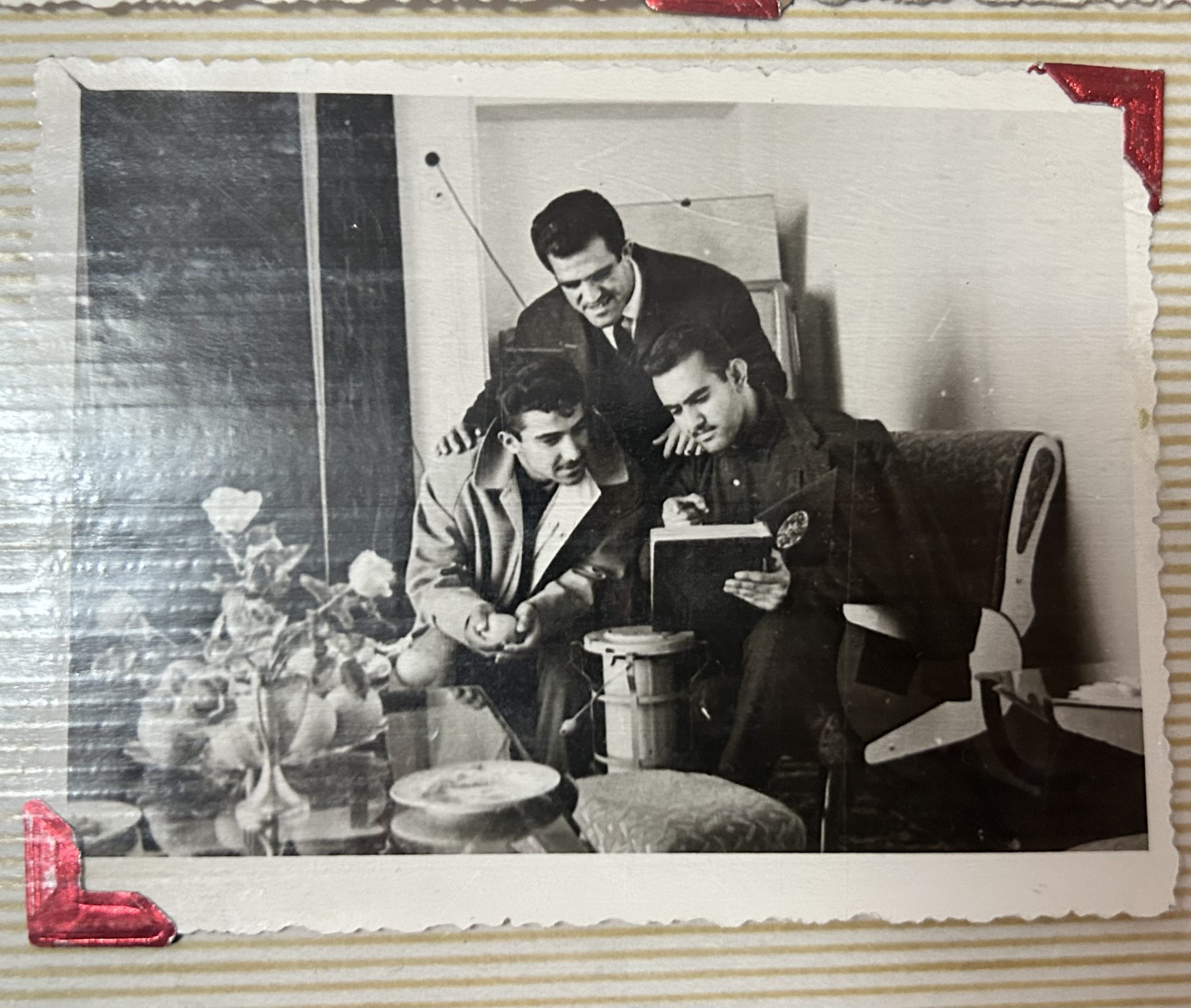 ایرج محبی