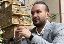 علی تهرانی فر